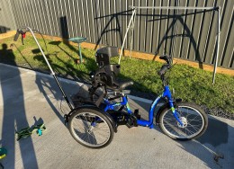 20' Therapy Tricycle - Marine Blue