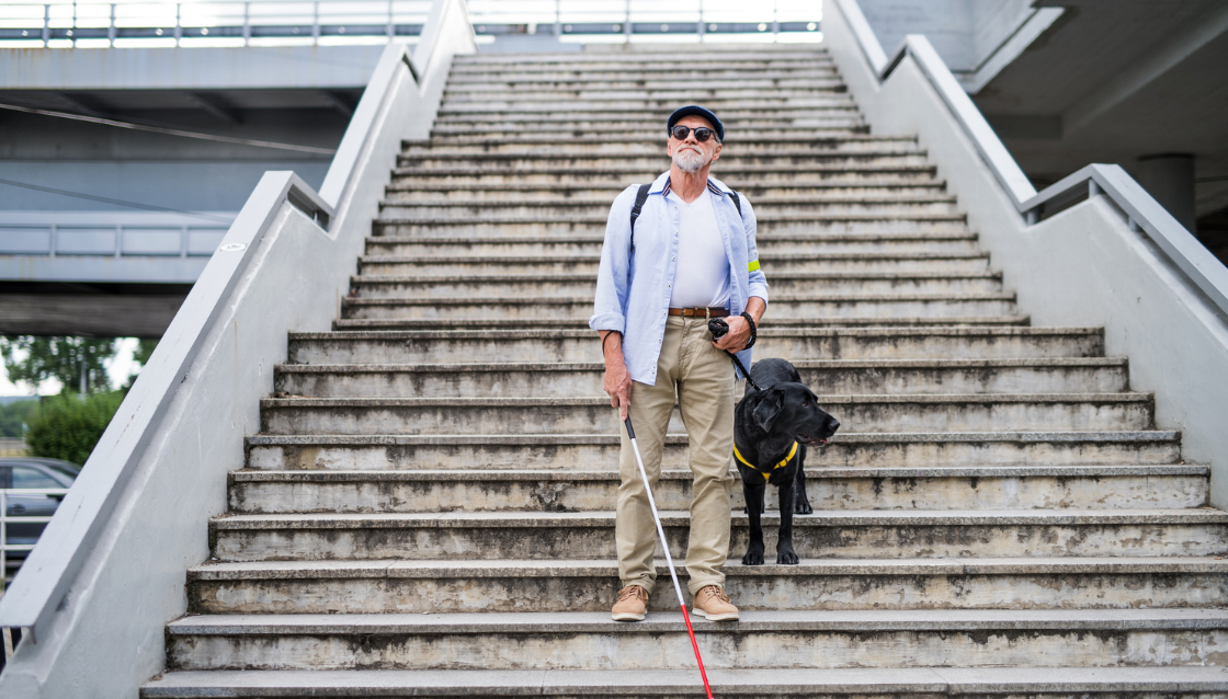 Image of man with vision impairment on staircase holding a walking cane with a guide dog standing next to him.